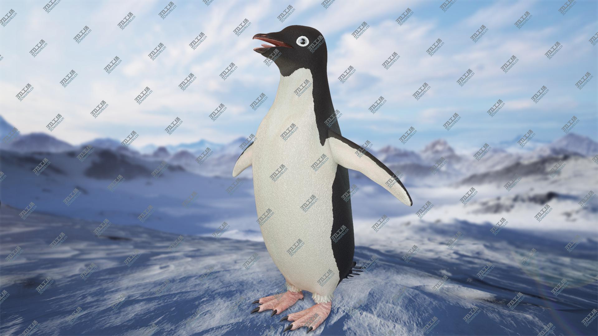 images/goods_img/2021040163/Adelie Penguin T-Pose 3D model/1.jpg